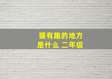 猫有趣的地方是什么 二年级